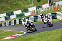 cadwell-no-limits-trackday;cadwell-park;cadwell-park-photographs;cadwell-trackday-photographs;enduro-digital-images;event-digital-images;eventdigitalimages;no-limits-trackdays;peter-wileman-photography;racing-digital-images;trackday-digital-images;trackday-photos